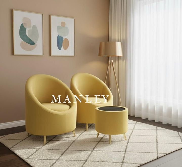 Arm Chair - Egg arm chair set